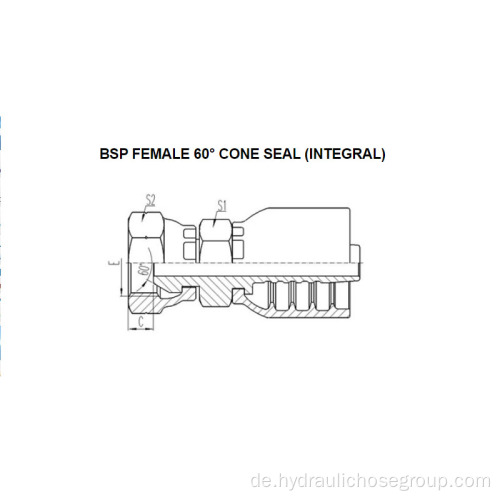 Integraler BSP weiblich 60 ° Kegel 22611-F